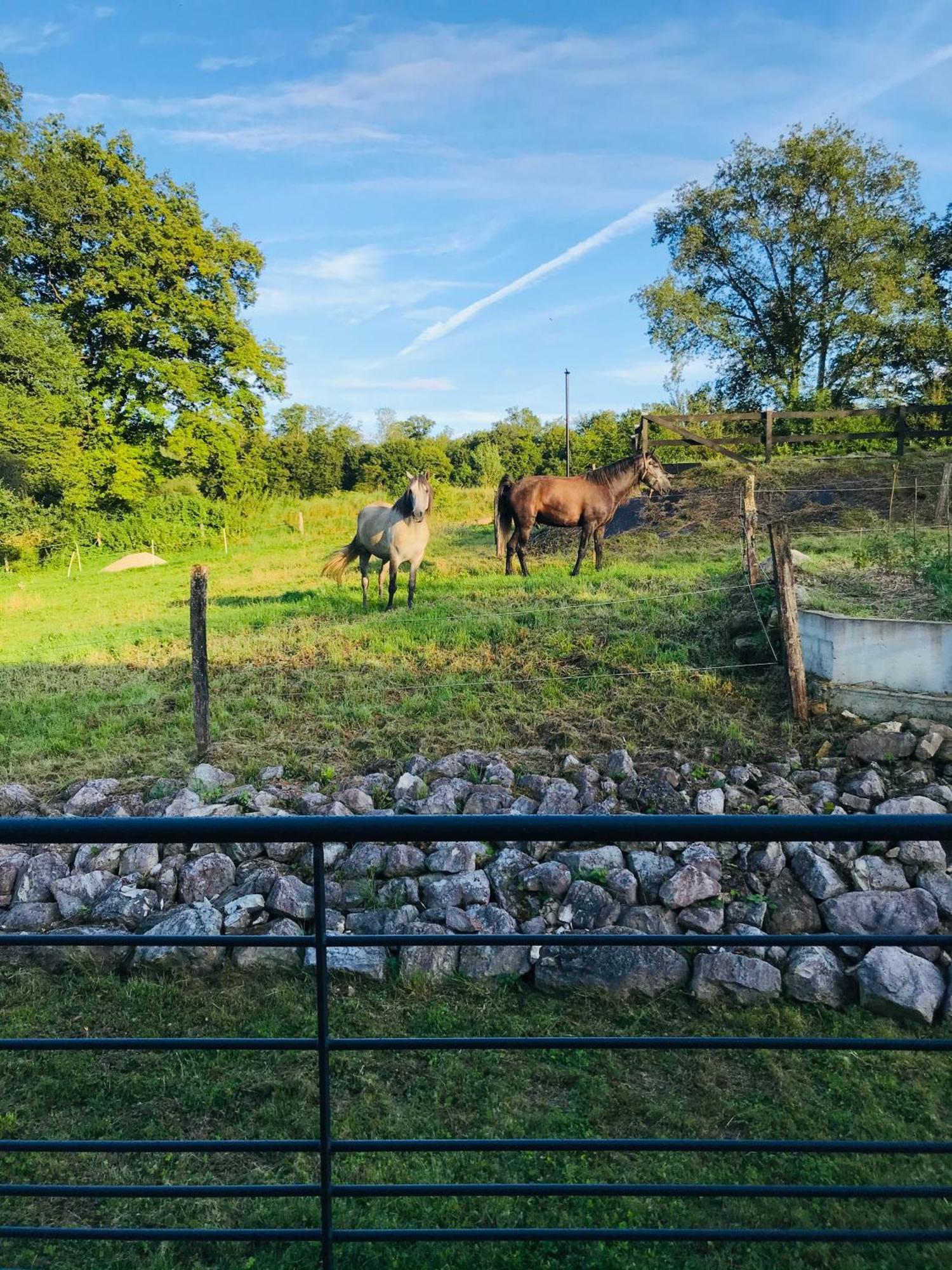 De Saint-christophe Holiday home